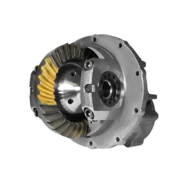 Yukon Gear & Axle YDAF9-456YGL-31