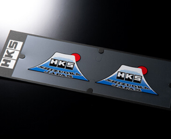 HKS 51003-AK137