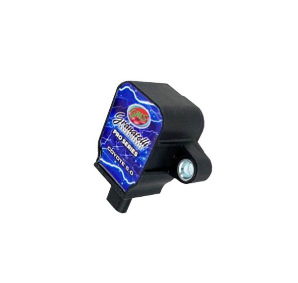 Granatelli Motor Sports 01819CP