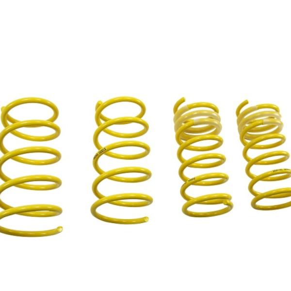 ST Suspensions 65820