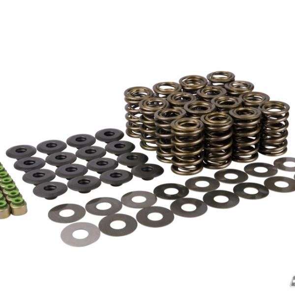 mountune 6069-CS2-AAK