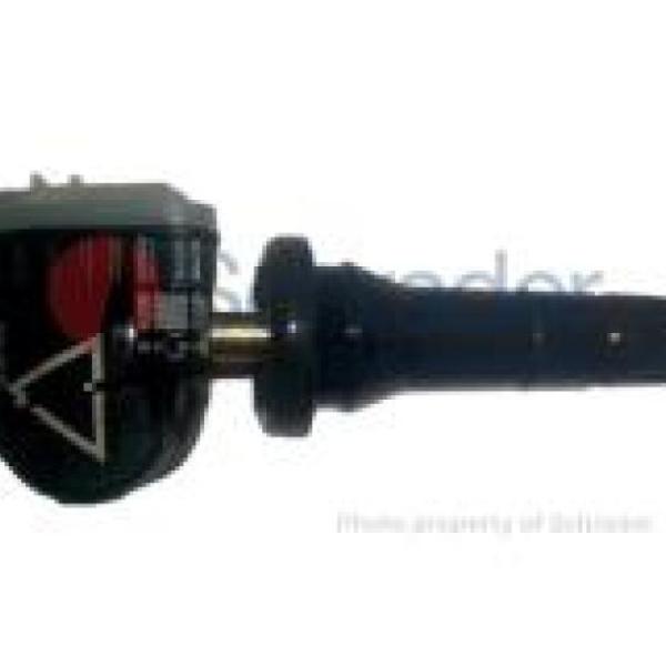 Schrader 29244