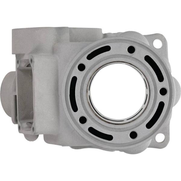 Cylinder Works CW20011