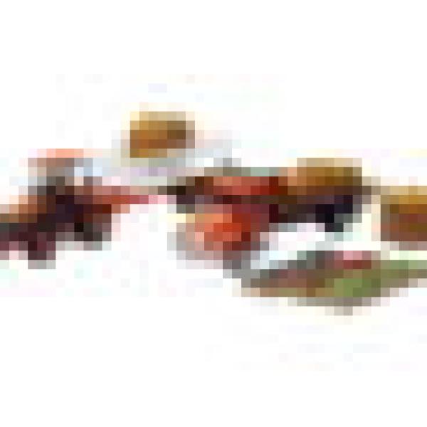 New Ray Toys SS-15815A