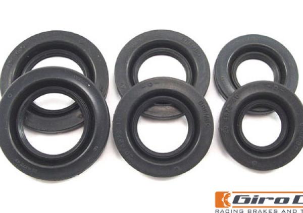 GiroDisc CDB1-003