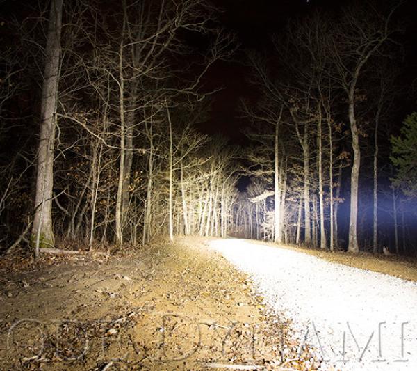 Diode Dynamics DD6038