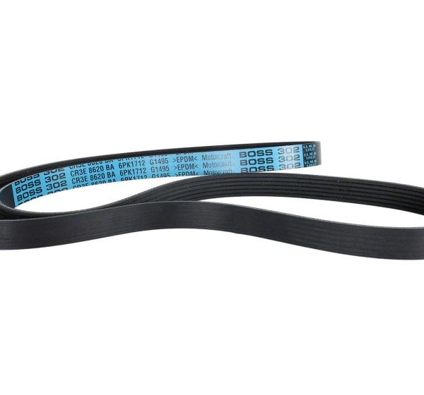 Ford Racing M-8600-M50ALTA