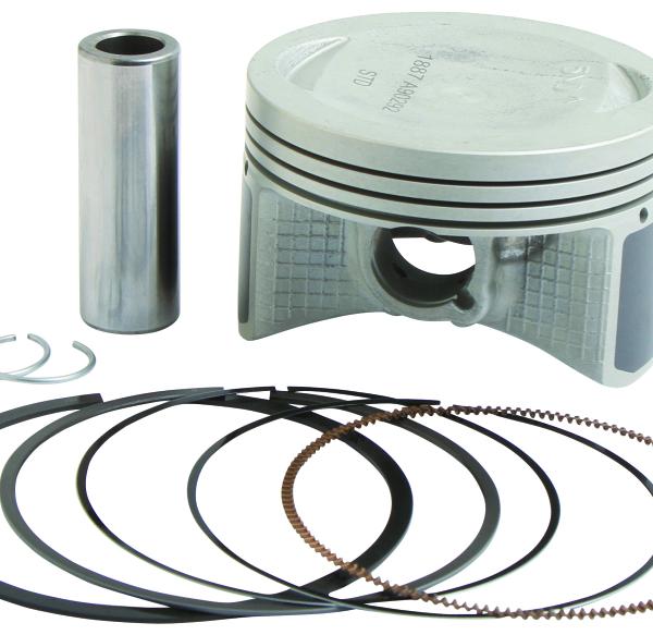 Vertex Pistons 24483