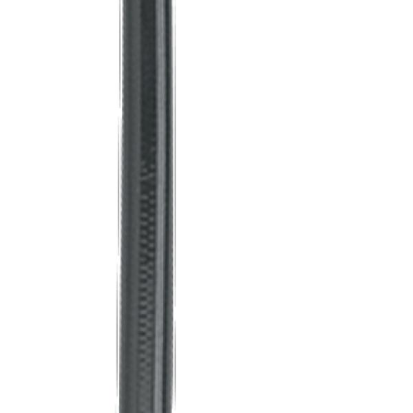 Fragola 322024