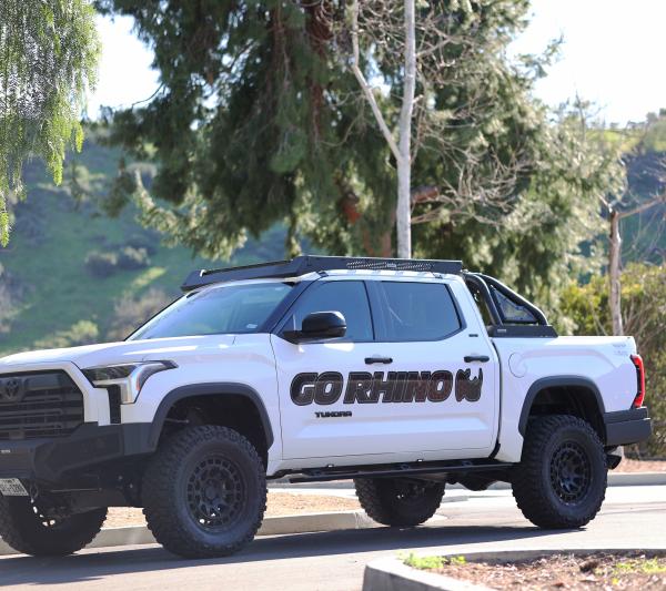 Go Rhino 911020T