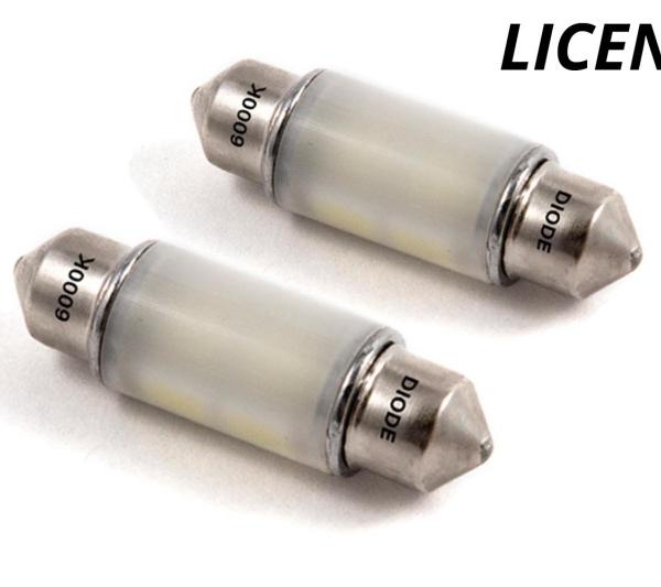 Diode Dynamics DD0081P