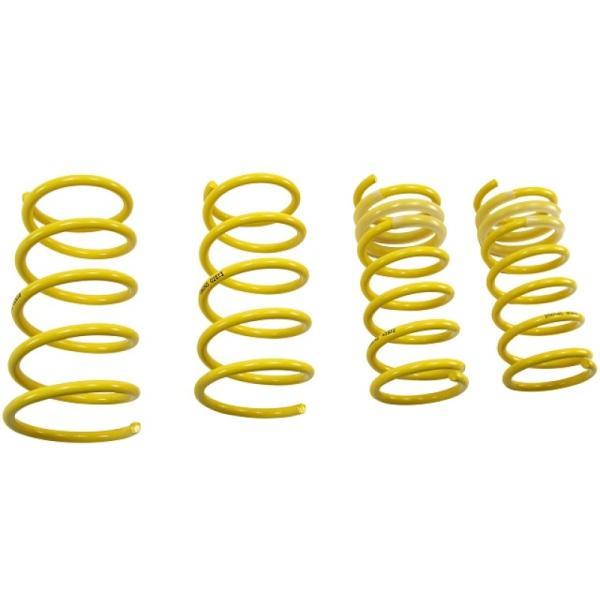 ST Suspensions 65820