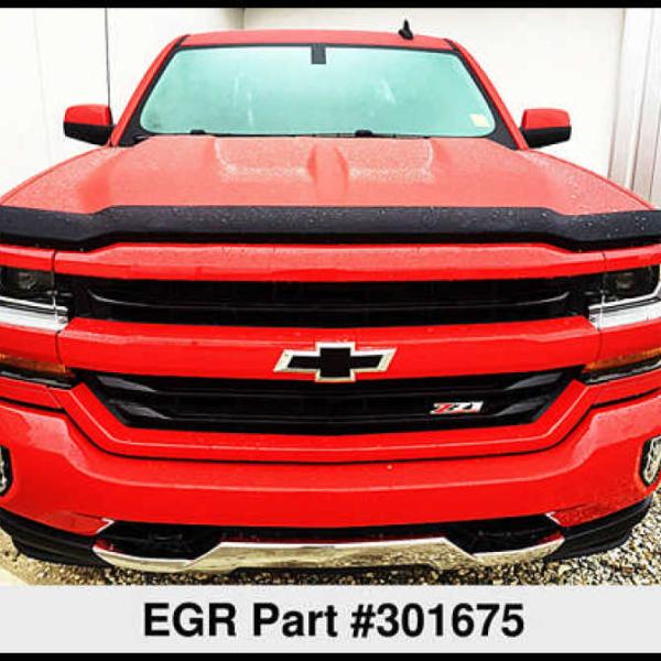 EGR 301675
