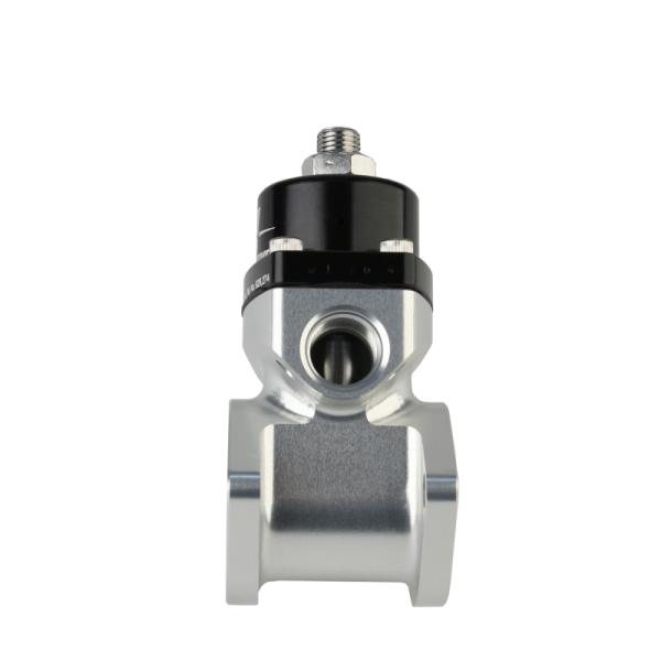 Aeromotive 13217