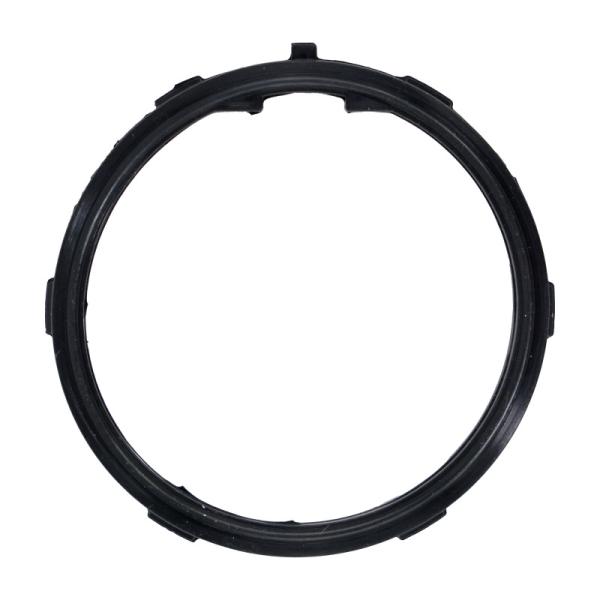 Fel-Pro 36219