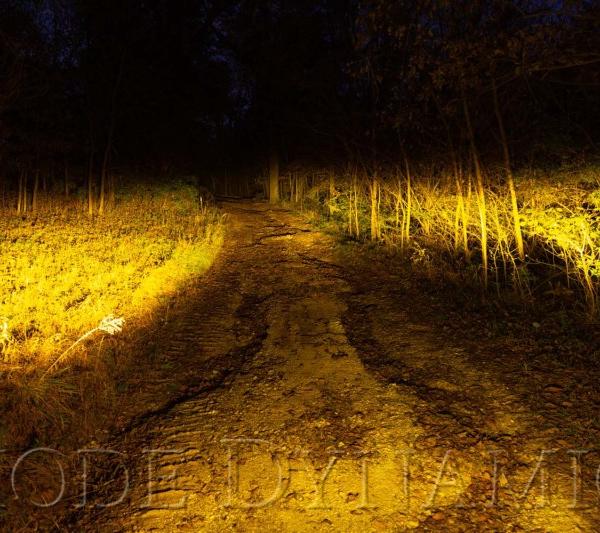 Diode Dynamics DD6142P