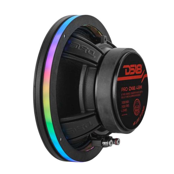 DS18 DLRING8