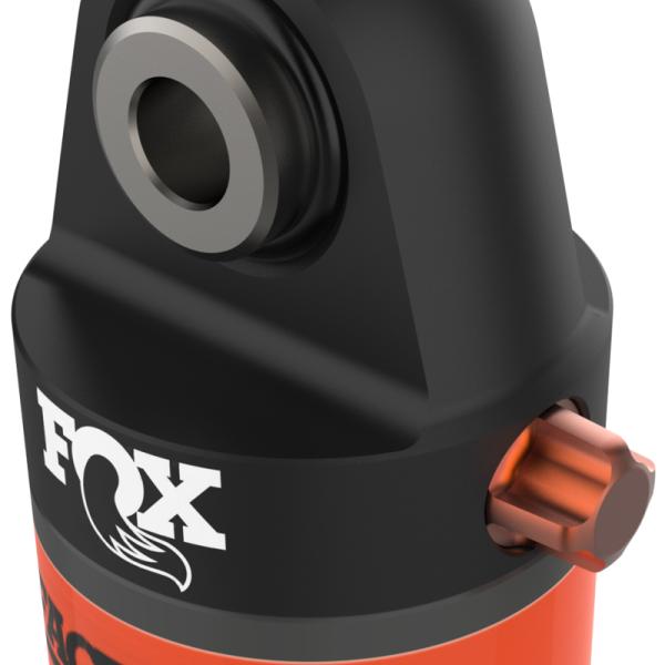 FOX 981-25-041