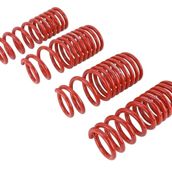 SK Lowering Springs Skunk2 Racing 519-05-1650