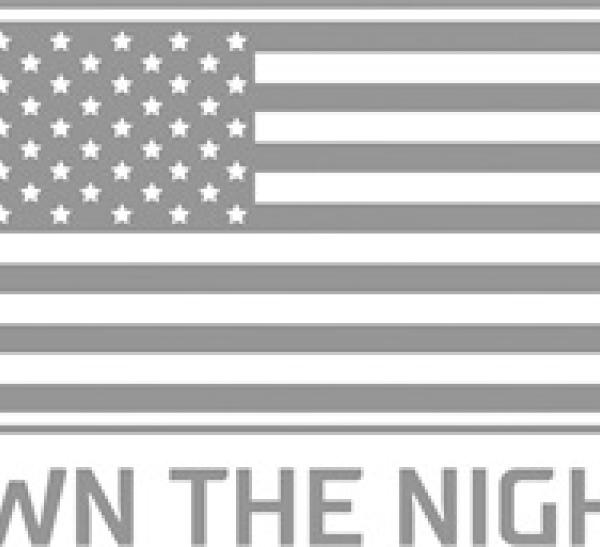 Rigid Industries 36411