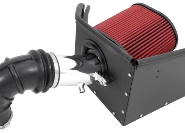 AEM Induction 21-8228DP