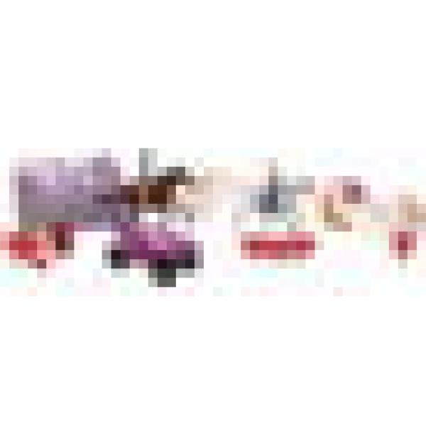 New Ray Toys SS-37105B