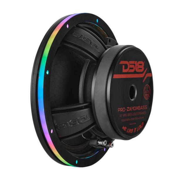 DS18 DLRING10