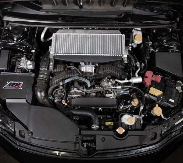 AEM Induction 21-891C