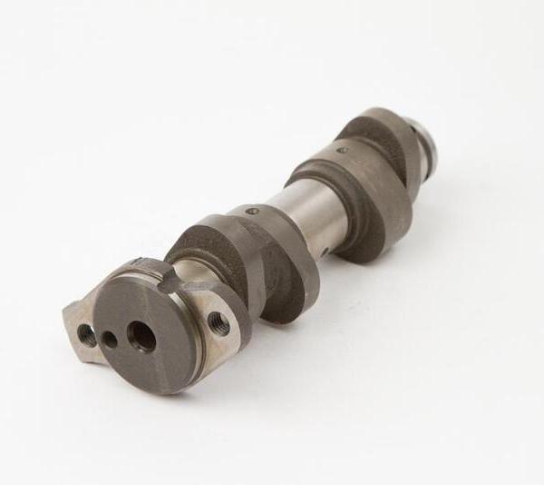 Hot Cams 4100-1