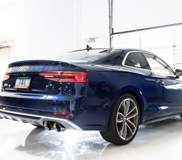 AWE Tuning 3010-42064