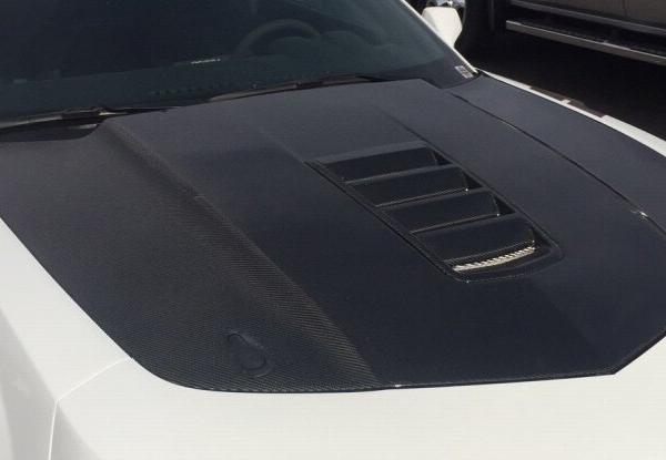 Anderson Composites AC-HD14CHCAM-Z28