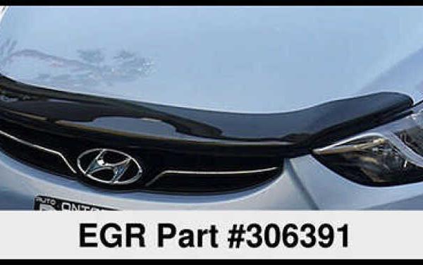 EGR 306391
