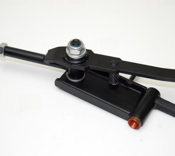 Fidanza 891868