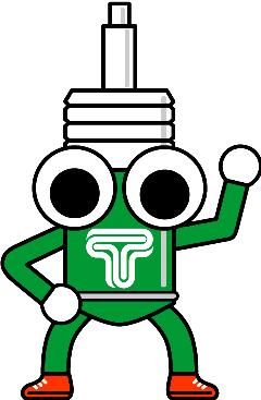 Tein TN020-001