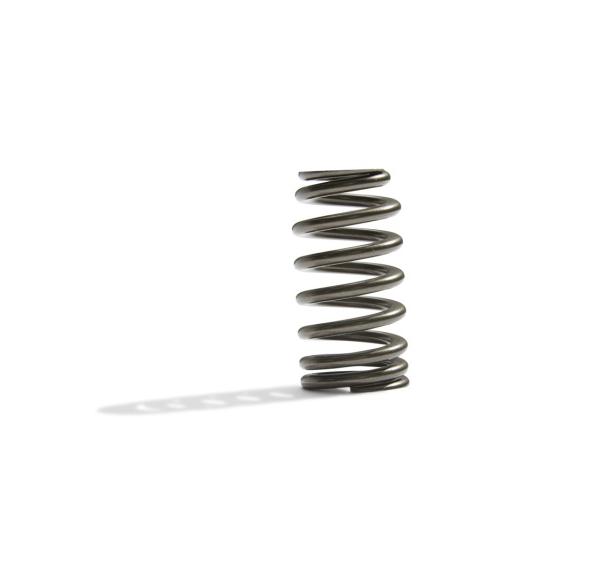 FR Valve Spring Kits Ford Racing M-6513-M50BR