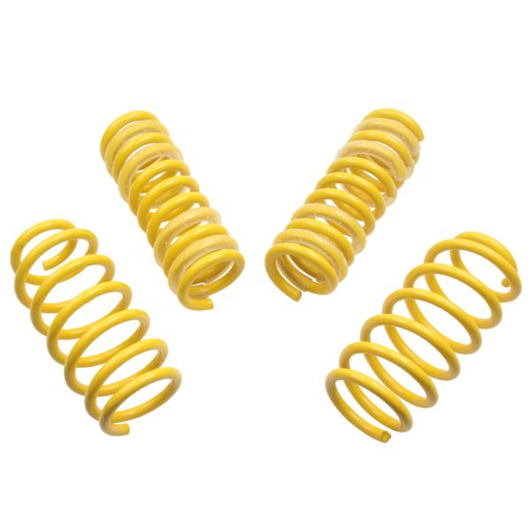 ST Suspensions 65504