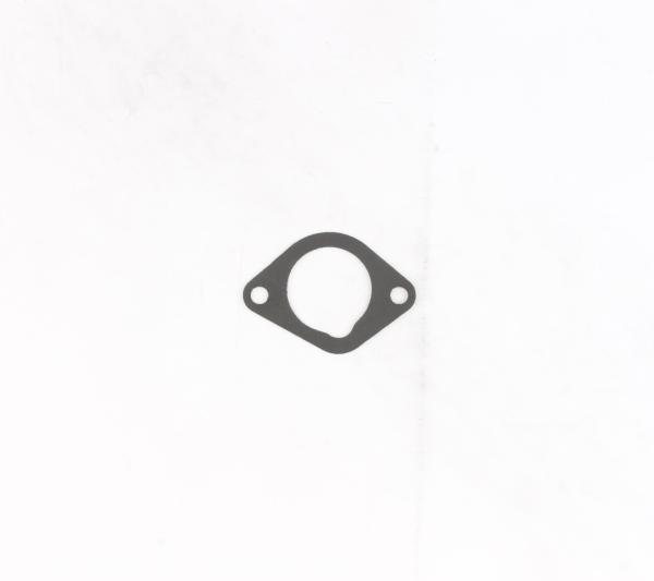 CG Intake Gaskets Cometic Gasket C4924