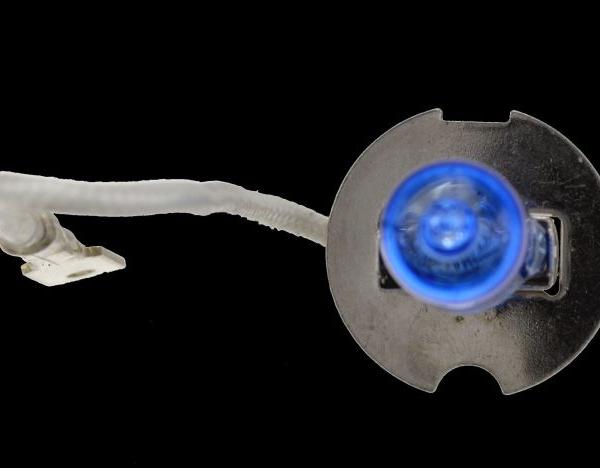 HELLA Xenon Bulb Hella H71071312
