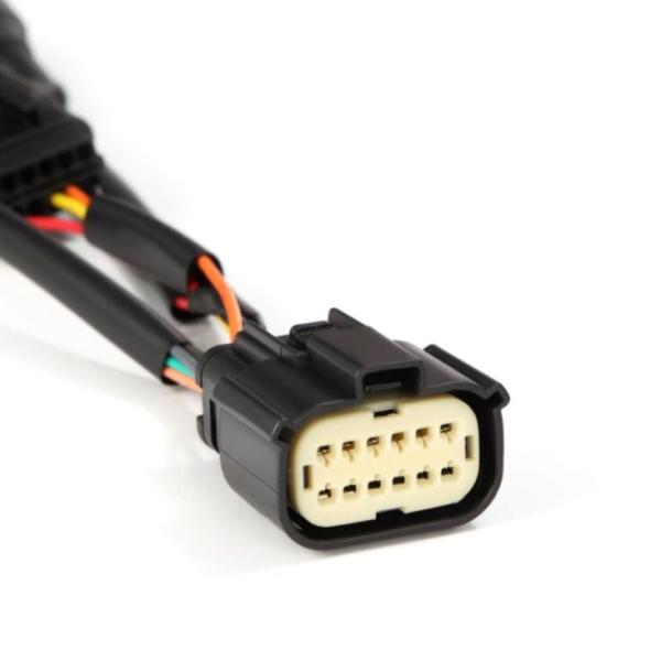 AlphaRex 602011