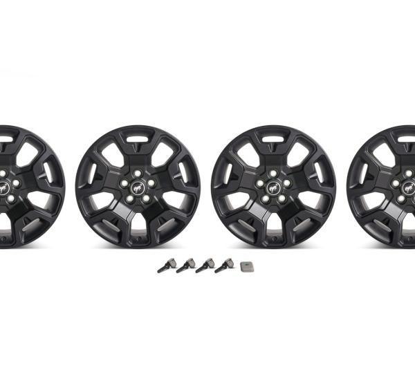 Ford Racing M-1007K-S17BSB