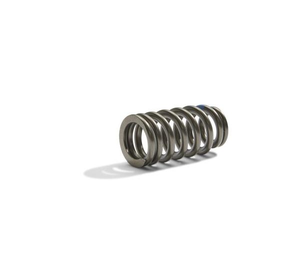 FR Valve Spring Kits Ford Racing M-6513-M50BR