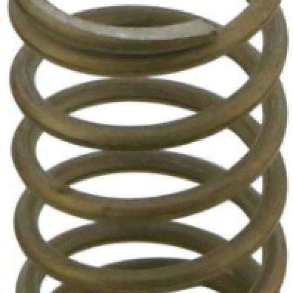 TS Wastegate Springs Turbosmart TS-0550-3089