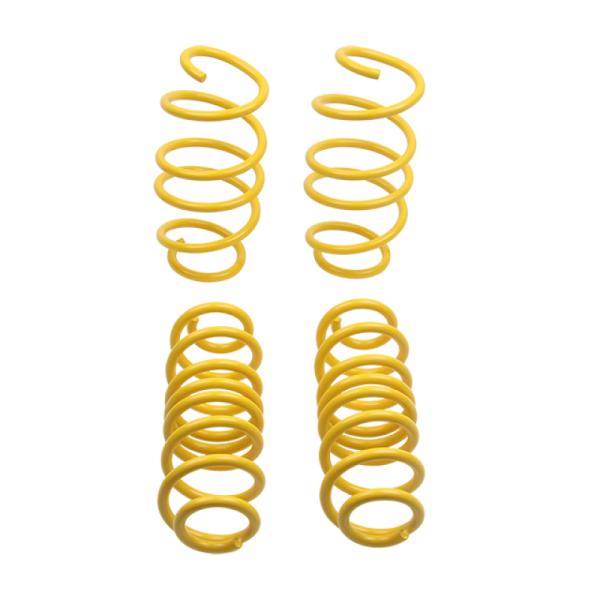 ST Suspensions 65822