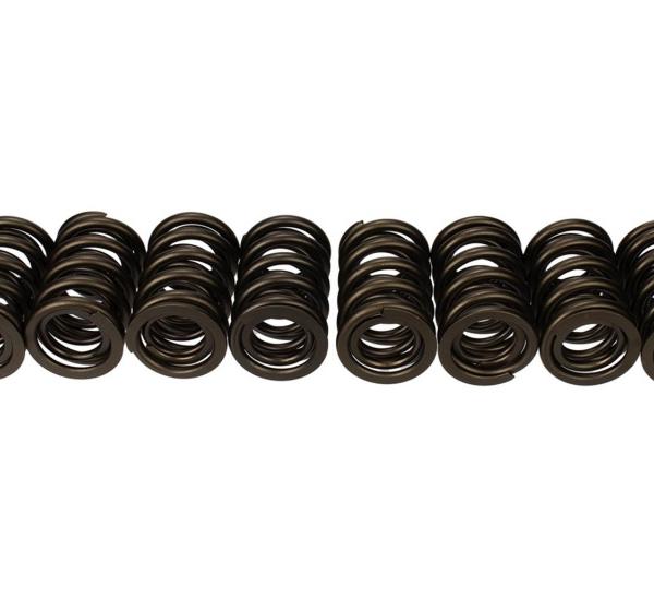 Ford Racing M-6513-17348
