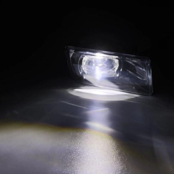 AlphaRex 210008