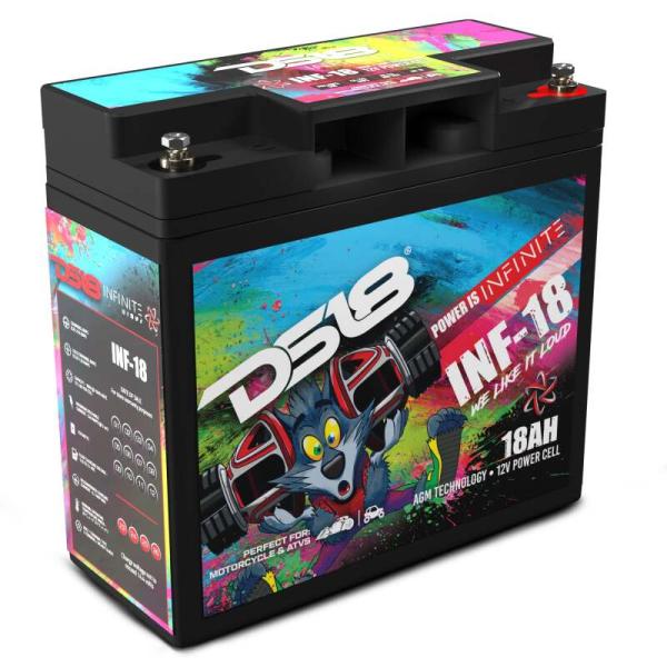 DS18 INF-18