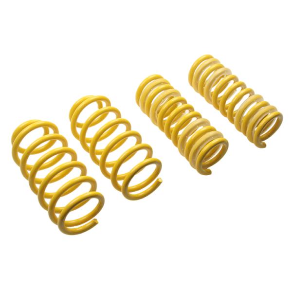 ST Suspensions 65504