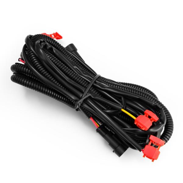 AlphaRex 210017