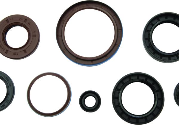 VEP Engine Oil Seal Kit Vertex Pistons 822381