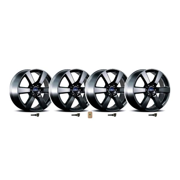 Ford Racing M-1007K-P20XB